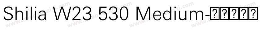 Shilia W23 530 Medium字体转换
